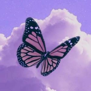 Meet your Posher, Farah